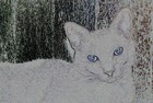 Picture for song 'When I... become collective' by artist 'NoiRom'