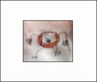 Picture for song 'Panic Cakes' by artist 'Nomeus Music'