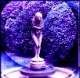 Picture for song 'Orchestral- In the Garden of Your Thoughts' by artist 'Numi Who'