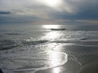 Picture for song 'Savannah Beach' by artist 'Nykol (The Jazziva)'