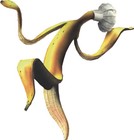 Picture for song 'Bananskal' by artist 'Ocaragua'