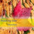 Picture for song 'Prove my Love' by artist 'Open Music Factory'