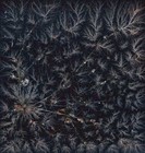 Picture for song 'SNG47 BOLEARIA POPEDIT 1-31-15' by artist 'Ordinary Saints'