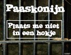 Picture for song '05 Paaskonijn - Zet jullie oorbeschermers op' by artist 'Paaskonijn - Plaats me niet in een hokje'
