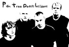 Picture for song 'The Messenger' by artist 'Palm Tree Death Incident'