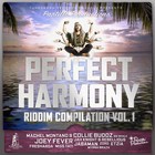 Picture for song 'Perfect Harmony riddim medley vol1 (feb 2011)' by artist 'Partillo Productions'