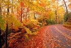 Picture for song 'November' by artist 'Paul Spinelli'