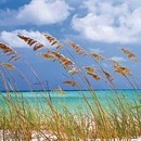 Picture for song 'Ethereal Breeze' by artist 'Pawel Jurdziak'