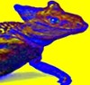 Picture for song 'Lizard Cube' by artist 'Pedestrial'