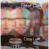 Picture for song 'Dizzy Light' by artist 'Peter Burg'