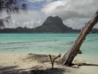 Picture for song 'Impro in Paradise' by artist 'PHANTOM OF PARADISE'