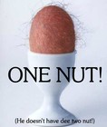 Picture for song '1 nut blues' by artist 'phisherman'