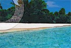 Picture for song 'Pacific Boy (the resurrection)' by artist 'Piece Of Art'