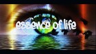 Picture for song 'Essence of Life' by artist 'PierreDaRock'