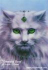Picture for song 'What was that look' by artist 'pixiecat'