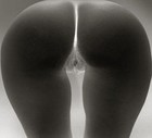 Picture for song 'HIT IT FROM THE BACK' by artist 'PLEYBOI334'