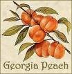 Picture for song 'GEORGIA PEACH!!!' by artist 'PLP (Pipe Line)'