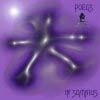 Picture for song 'Timeless' by artist 'Poegs'