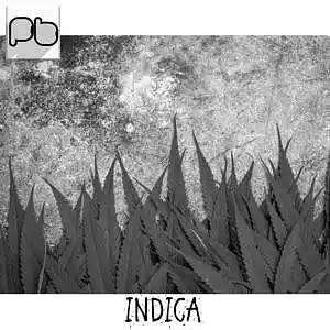Picture for song 'INDICA / DIVINE x NAEZY TYPE BEAT / 140 bpm' by artist 'POFINSKY'