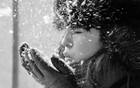 Picture for song 'Cold Shoulder (Free D/L)' by artist 'Preshur Music'