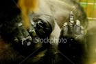 Picture for song 'Erreurs' by artist 'Primitive'