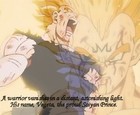 Picture for song 'Dragonball Z (Vegeta Sample)' by artist 'Producer Young KZ the SOOPAMANE'