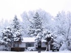 Picture for song 'When Christmas Came In December' by artist 'PRsings'