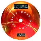 Picture for song 'Dead House (remix)' by artist 'Psychosis (US)'