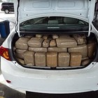 Picture for song 'QuickMoves (Sold)' by artist 'PureBread Pro'