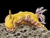 Picture for song 'Staring At The Ocean Floor' by artist 'Pynner'