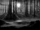 Picture for song 'Valentine Awaits' by artist 'Q-Fabric'