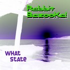 Picture for song 'What State' by artist 'Rabbit Bazooka!'