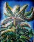Picture for song 'Dumb Loud' by artist 'Race Trax'
