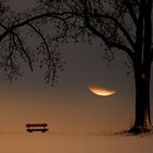 Picture for song 'Heart & Soul' by artist 'RADIO-LAB'