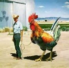 Picture for song 'Rooster Rules The Roost' by artist 'Rage Against Call Centers'