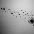 Picture for song ':::NEW::: "Letting Go" (Free Download)' by artist 'Rapitfly Beats'