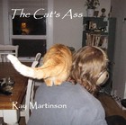 Picture for song 'Somthing Other Than Drinkin'' by artist 'Ray Martinson'