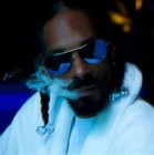 Picture for song '***Westside Story***' by artist 'Real Rellz'