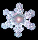 Picture for song 'CRYSTAL ACTIVATION' by artist 'RED SEED'