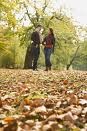 Picture for song 'Autumn Leaves' by artist 'Rex Reynolds'