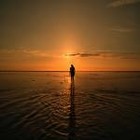 Picture for song 'World without Love' by artist 'Rex Reynolds'