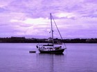 Picture for song 'Soar Against the Wind' by artist 'RhanthsMican'