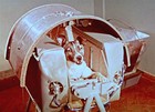Picture for song 'perro espacial' by artist 'ricardo roa'