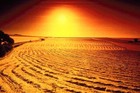 Picture for song 'Daft Desert Funk' by artist 'Rickyoto'