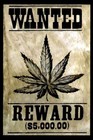 Picture for song 'Nothin but A Weed Thang(*$1.99 Leases*)' by artist 'Right Rhythms Productions'