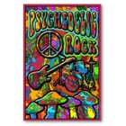 Picture for song 'Psychedelic Slow Jam' by artist 'ROBERT M LISANTI'