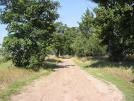 Picture for song '#177- The Same Dirt Road (1997)' by artist 'Rob Lincoln'