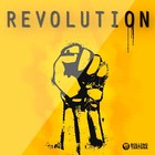 Picture for song 'Revolution' by artist 'Rolling Tartana Beatz'