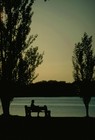 Picture for song 'As Far As I Can See, (BMI)' by artist 'Ronnie Bee's Gigabyte Band'
