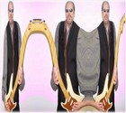 Picture for song 'Walkin with Myself' by artist 'Ronnie (Vodaka) Laas'
